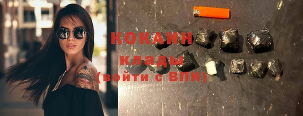 тгк Гусев