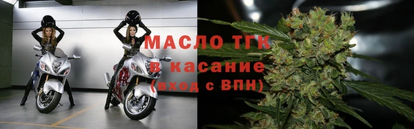 ECSTASY Гусь-Хрустальный