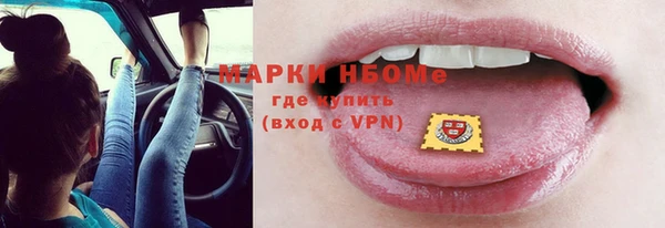 ECSTASY Гусь-Хрустальный