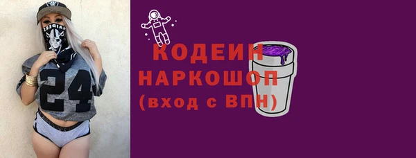тгк Гусев