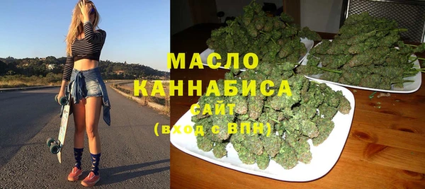 ECSTASY Гусь-Хрустальный