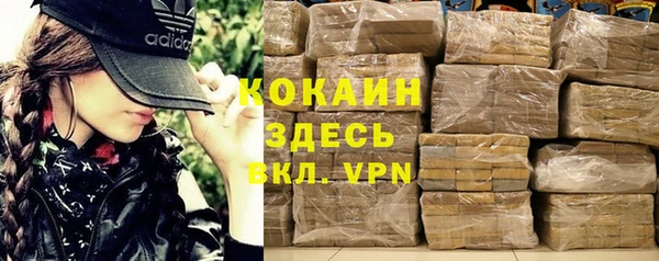 ECSTASY Гусь-Хрустальный
