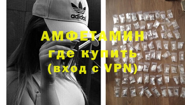 ECSTASY Гусь-Хрустальный