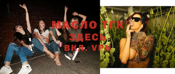 тгк Гусев