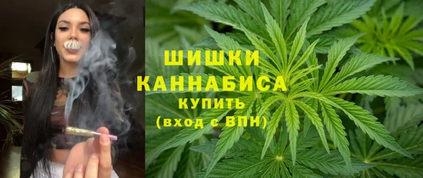 тгк Гусев