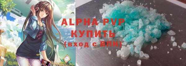 ECSTASY Гусь-Хрустальный