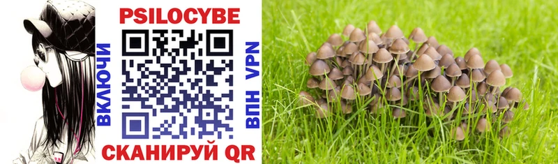 Купить закладки  Гаврилов Посад  Псилоцибиновые грибы MAGIC MUSHROOMS 